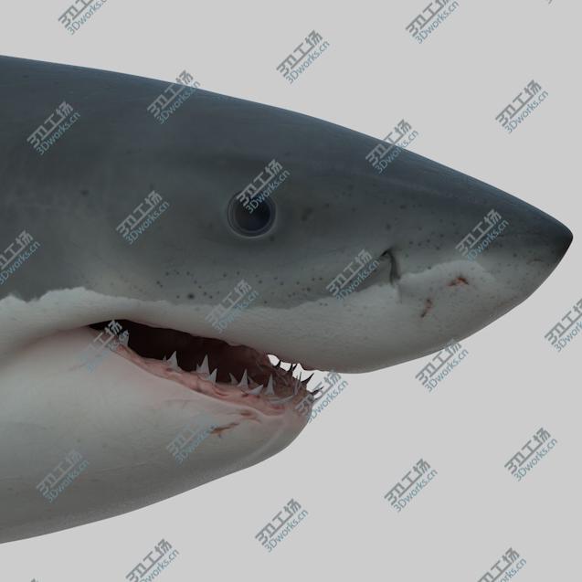 images/goods_img/2021040232/great white shark .OBJ/1.jpg